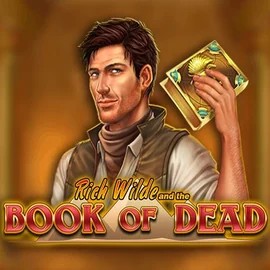 Book of Dead slot visual from Play'n GO available on bof-nl.com